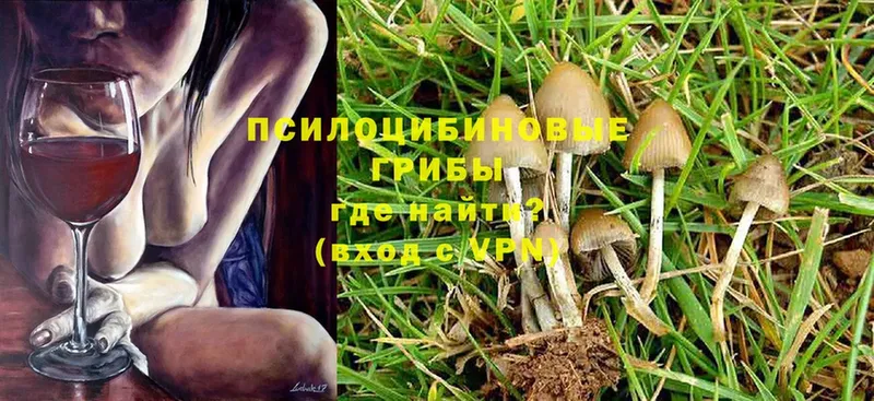 Псилоцибиновые грибы Magic Shrooms  МЕГА как зайти  Полярные Зори  купить  