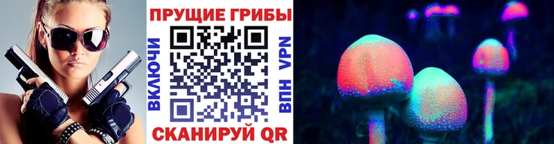 Галлюциногенные грибы Cubensis Полярные Зори