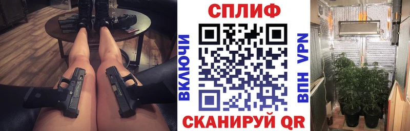 Марихуана план  Полярные Зори 